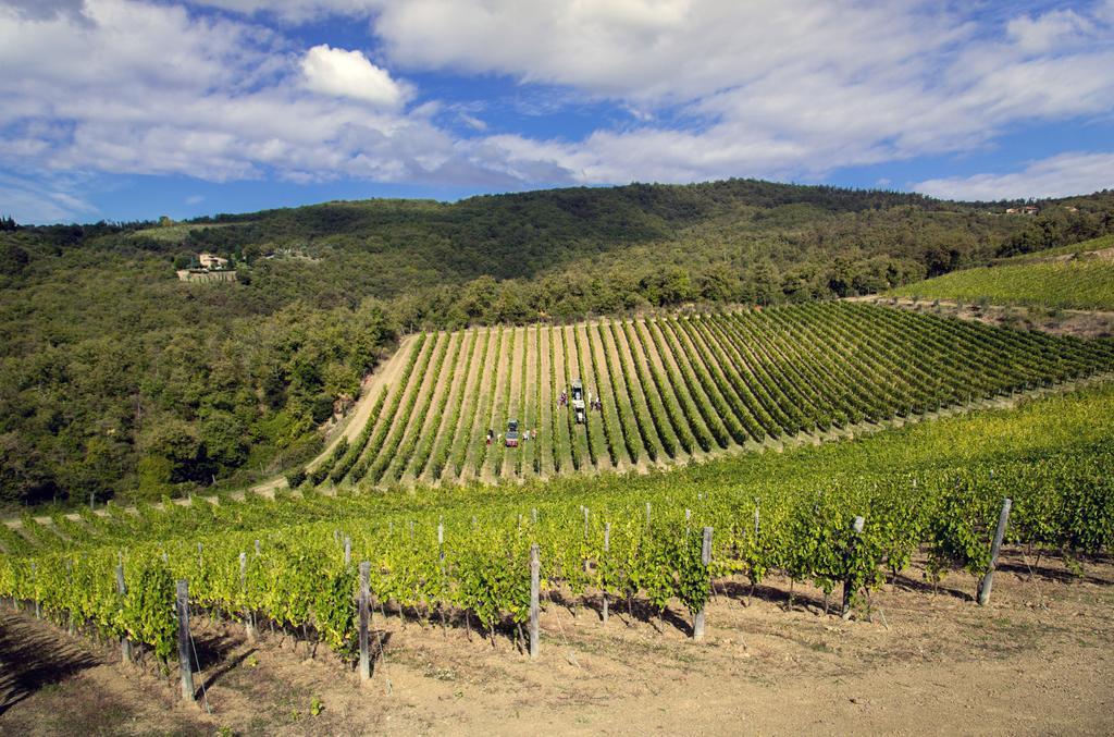 Castello Di Volpaia Guest House Radda in Chianti Exterior photo